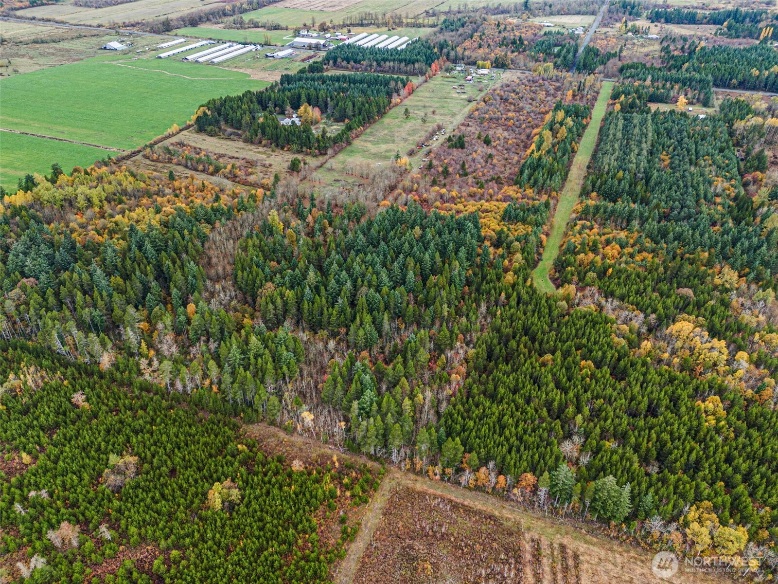 X Oyler Road Toledo, WA 98591 - Photo 15 of 24 a view of a street with a yard