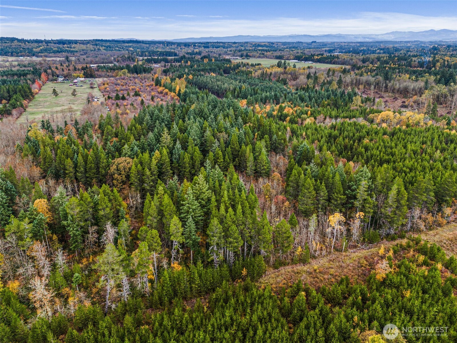 X Oyler Road Toledo, WA 98591 - Photo 18 of 24 a view of a city with lush green forest