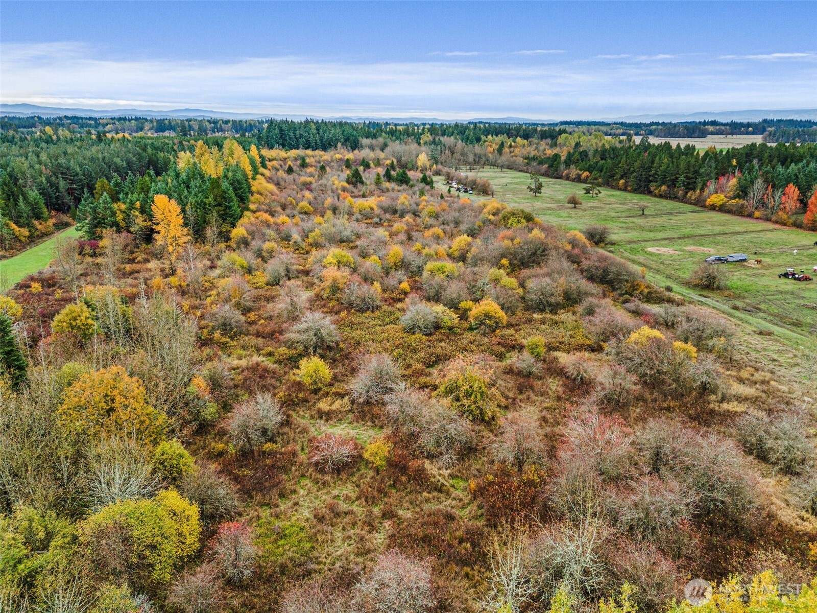 X Oyler Road Toledo, WA 98591 - Photo 20 of 24 a view of a yard with an outdoor space