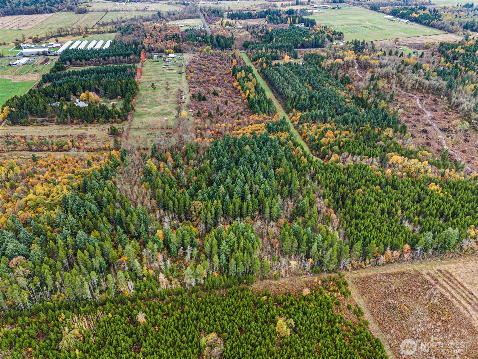 X Oyler Road Toledo, WA 98591 - Photo 2 of 24 an aerial view of residential house with outdoor space