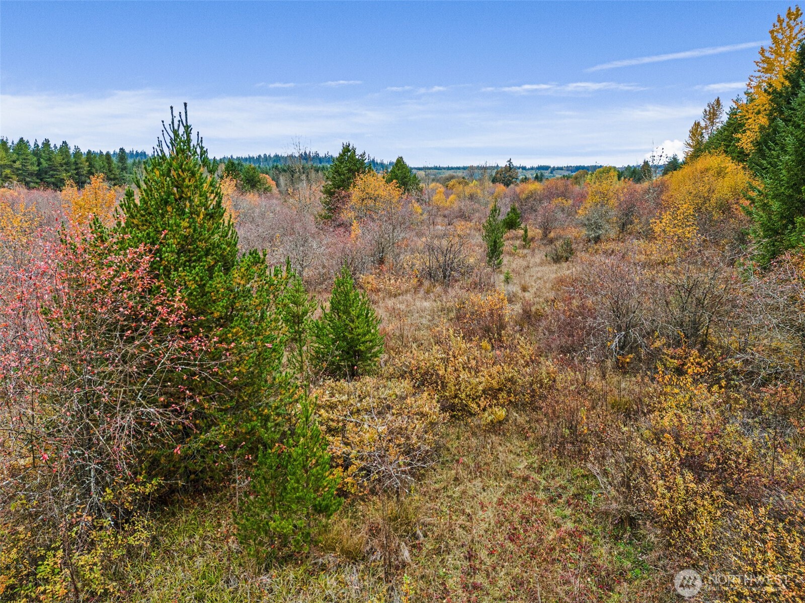 X Oyler Road Toledo, WA 98591 - Photo 21 of 24 a view of a lake view
