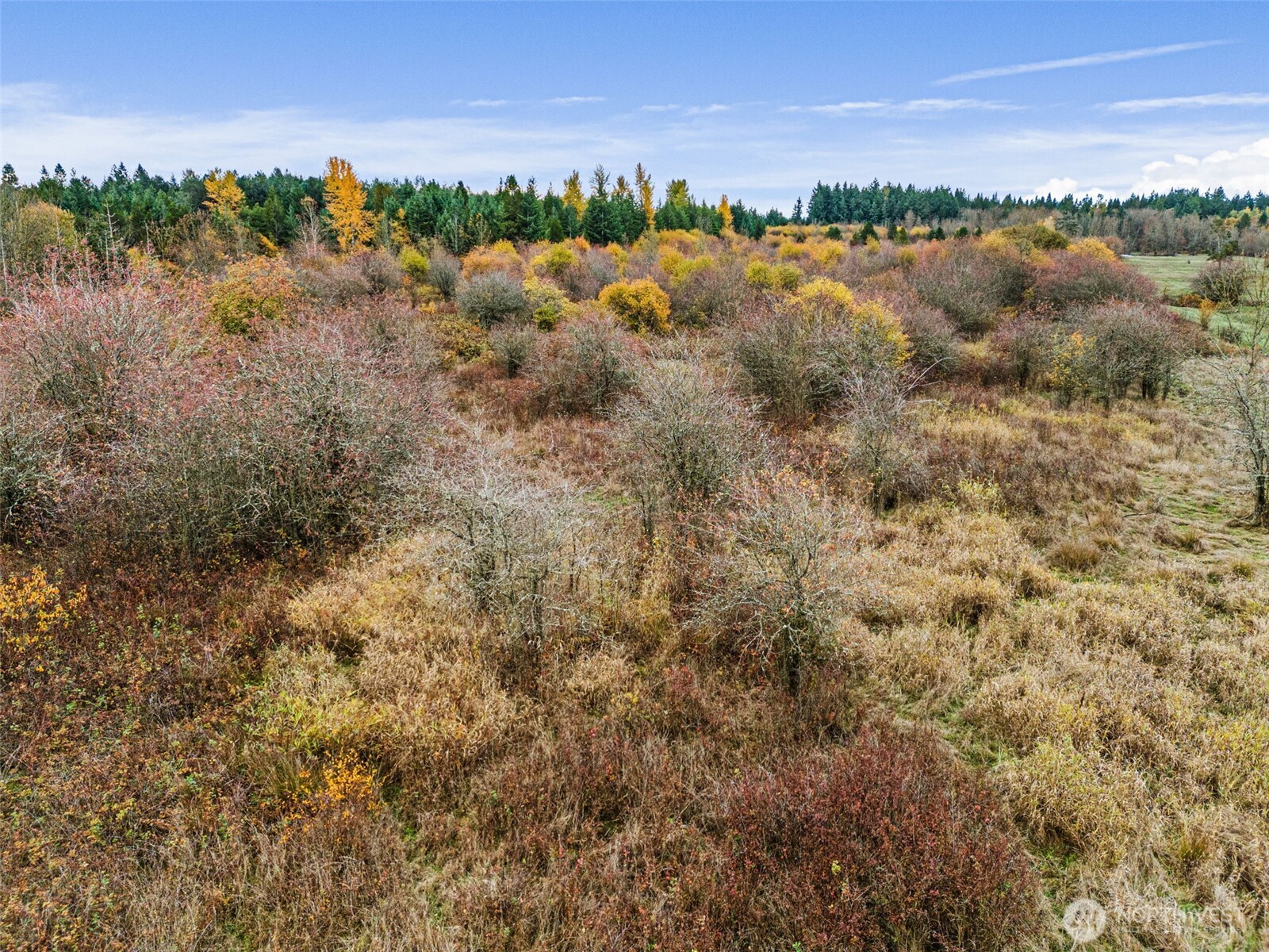 X Oyler Road Toledo, WA 98591 - Photo 22 of 24 a view of outdoor space and city view