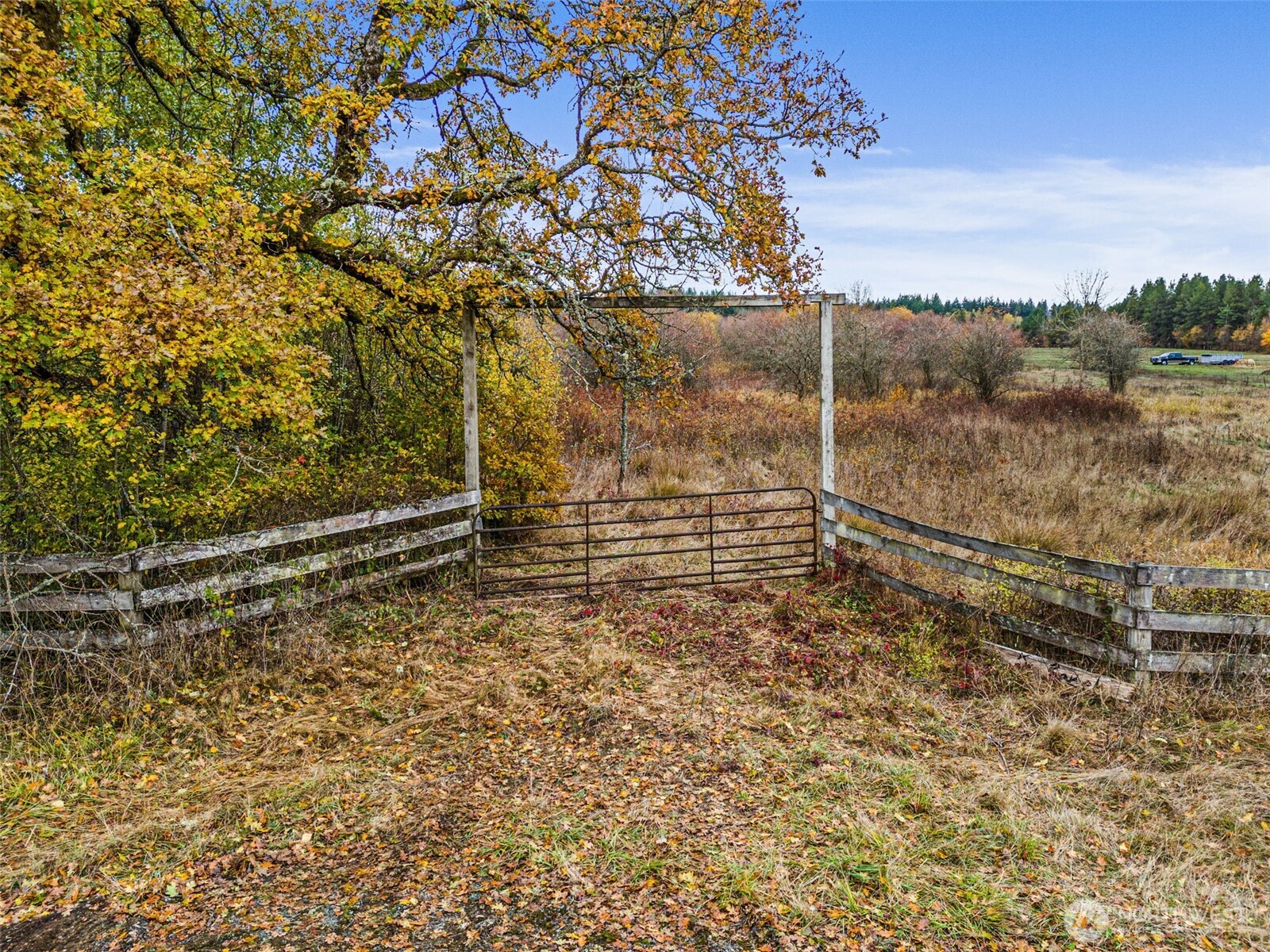 X Oyler Road Toledo, WA 98591 - Photo 5 of 24 a view of a yard with wooden fence