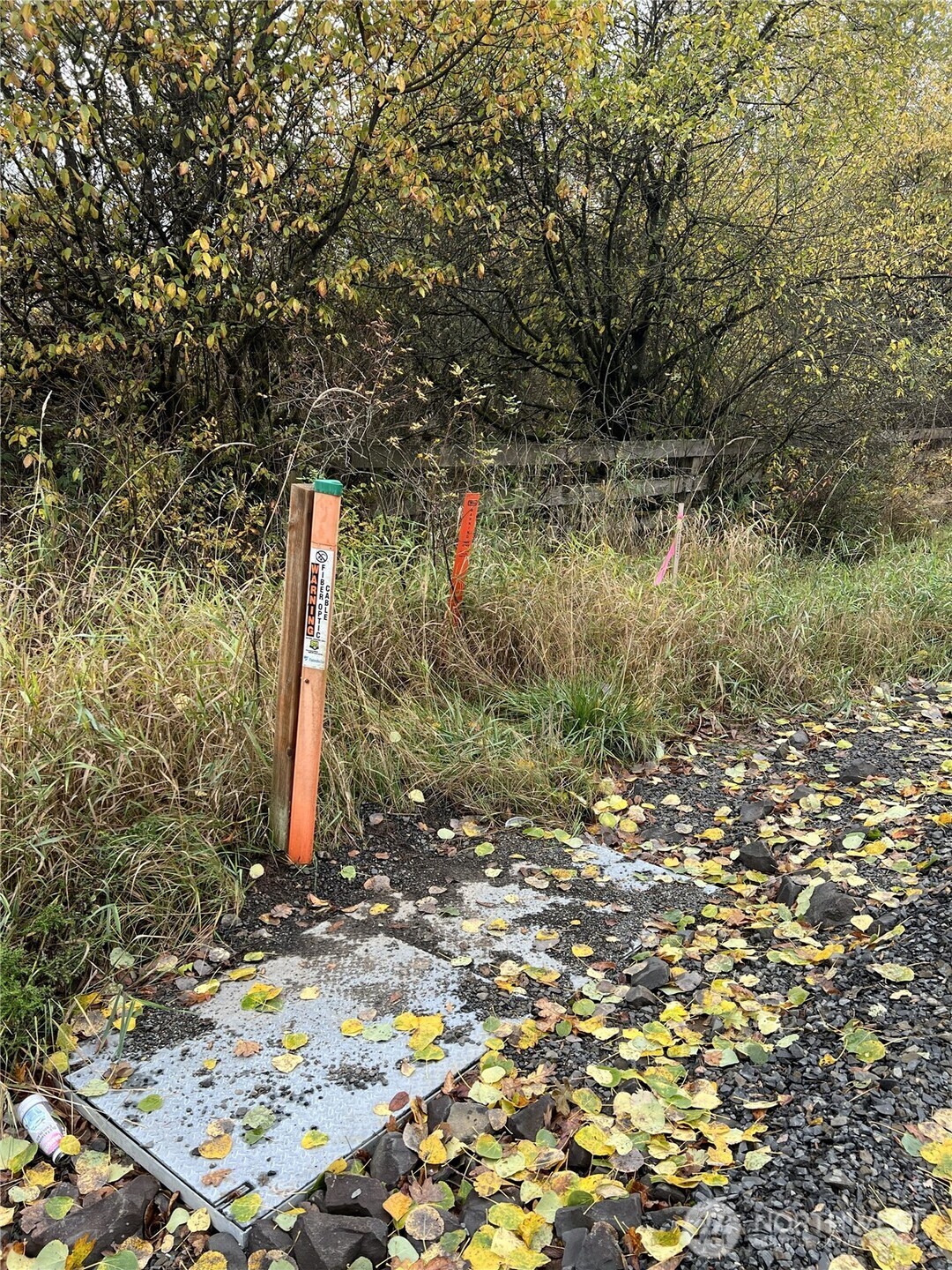 X Oyler Road Toledo, WA 98591 - Photo 7 of 24 a view of a tree in a yard