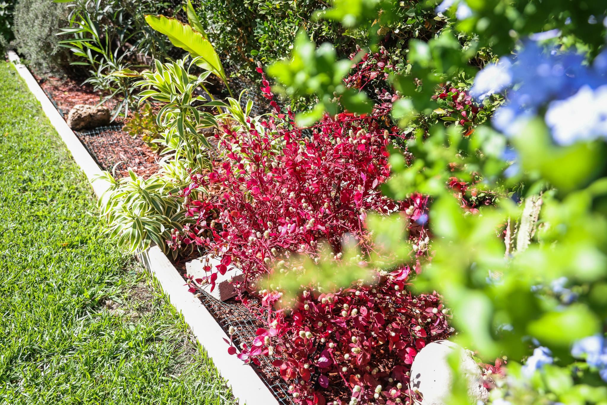 107 Mehani Place Kihei, HI 96753 - Photo 44 of 50