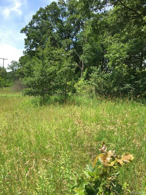 Parcel B Parker Road Holly, MI 48442 - Photo 16 of 18