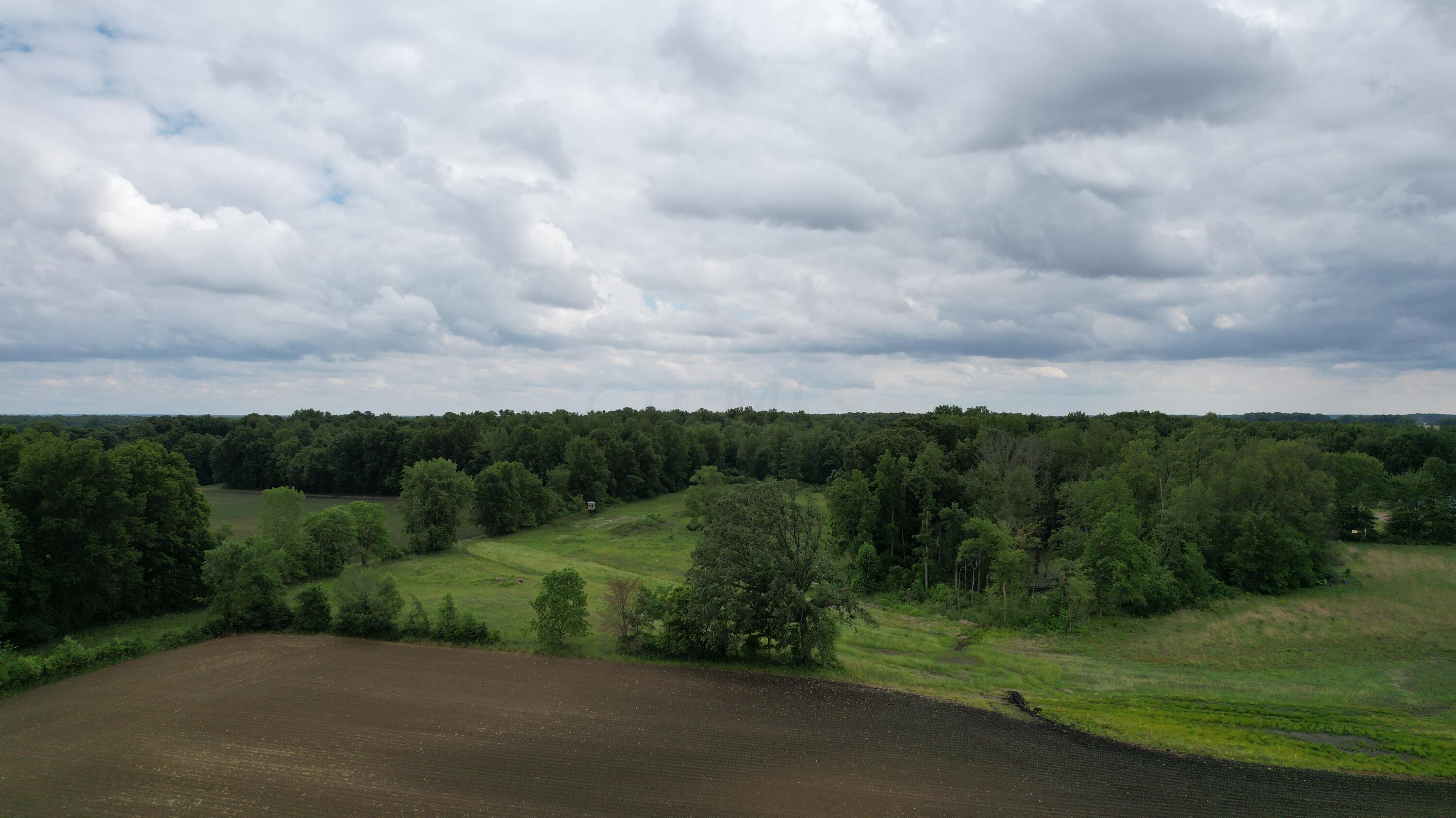 0 Fairchild Road Cardington, OH 43315 - Photo 9 of 16 31.5 Acres Tillable
