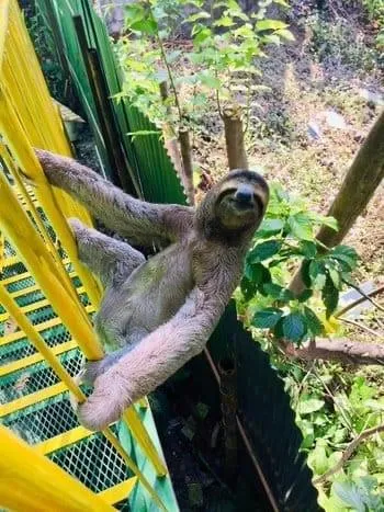 $749,000 | Costa Rica, NA 00000