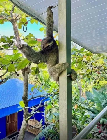 $749,000 | Costa Rica, NA 00000