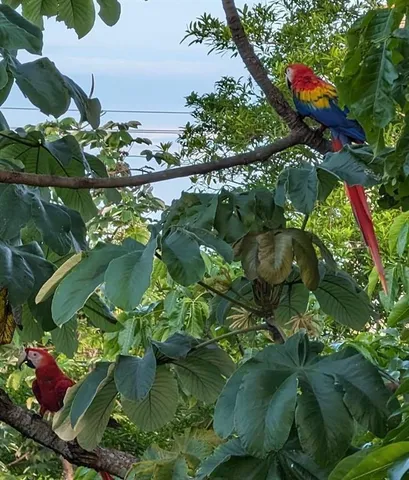 $749,000 | Costa Rica, NA 00000