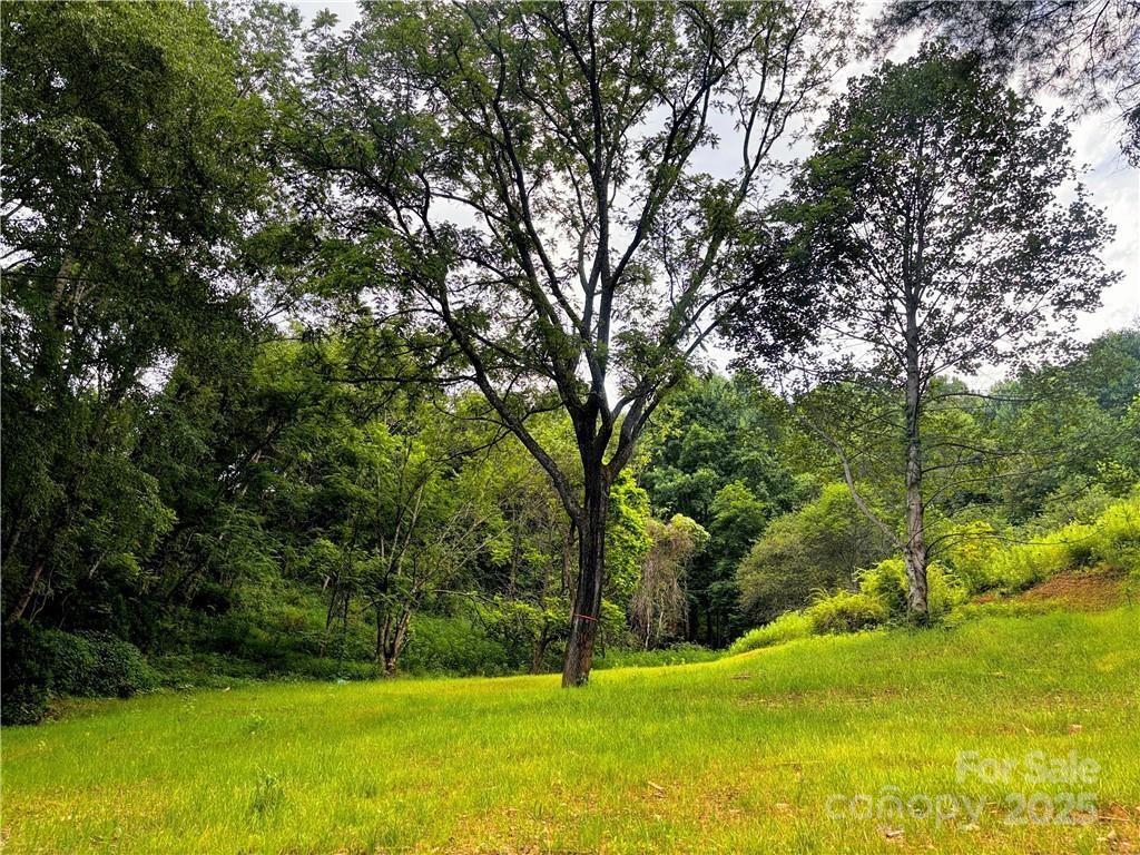 a view of an outdoor space and yard
