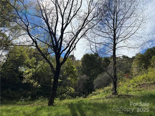 a view of outdoor space yard and tree