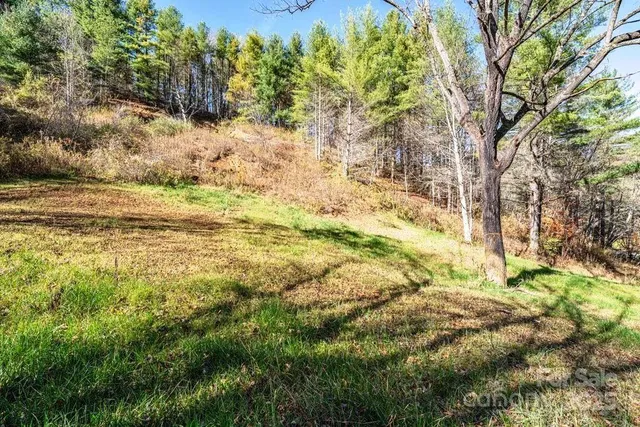 a view of beach and covered with green space