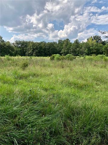 Parcel E Peters Road Madisonville, LA 70447 - Photo 4 of 5
