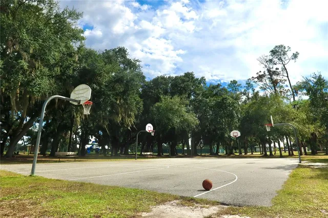 a view of a park with large trees
