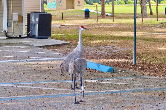 $274,900 | 6930 Parkwood Street, Sebring, FL 33876