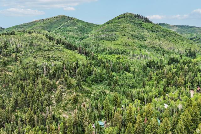 10205 East Moose Loop Road Salt Lake City, UT 84121 - Photo 47 of 50 Expansive mountain landscape featuring varied tree coverage and distant structures