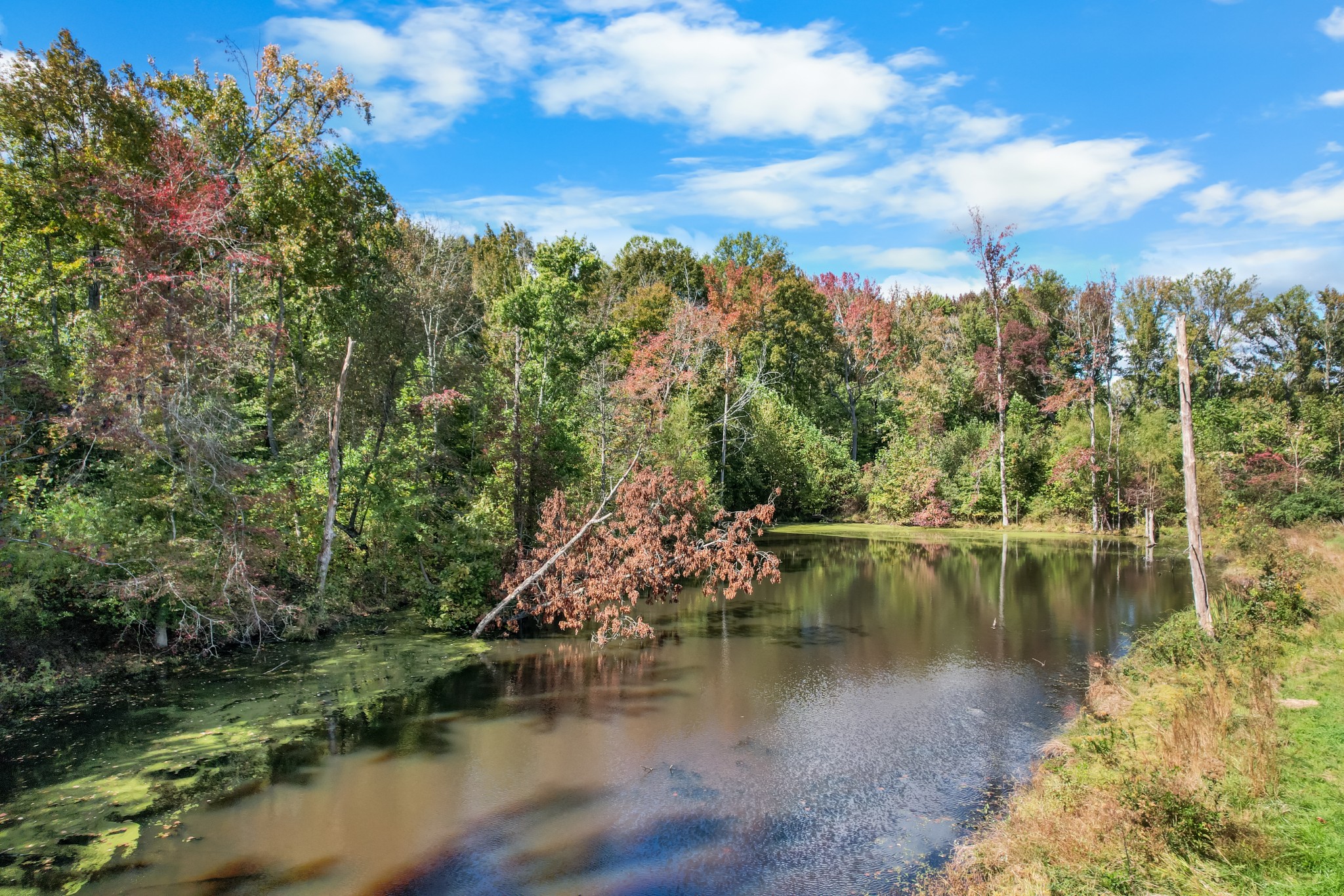 9516 Bakerton Road Red Boiling Springs, TN 37150 - Photo 60 of 60 a view of a lake with trees