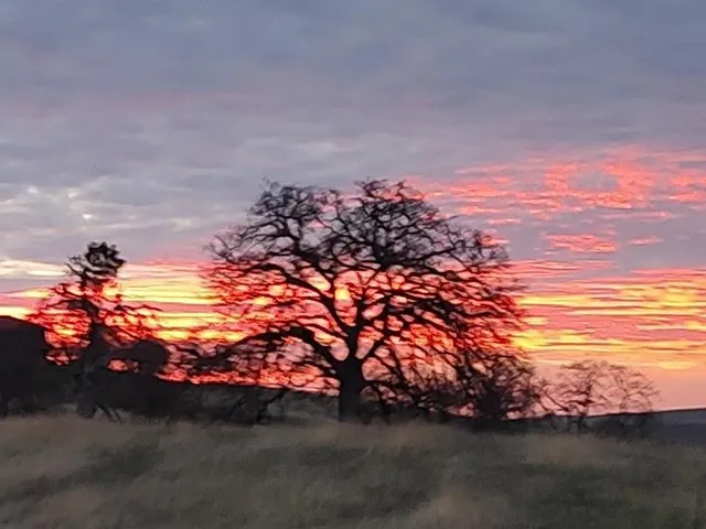 $679,000 | 25322 Road 407, Raymond, CA 93653