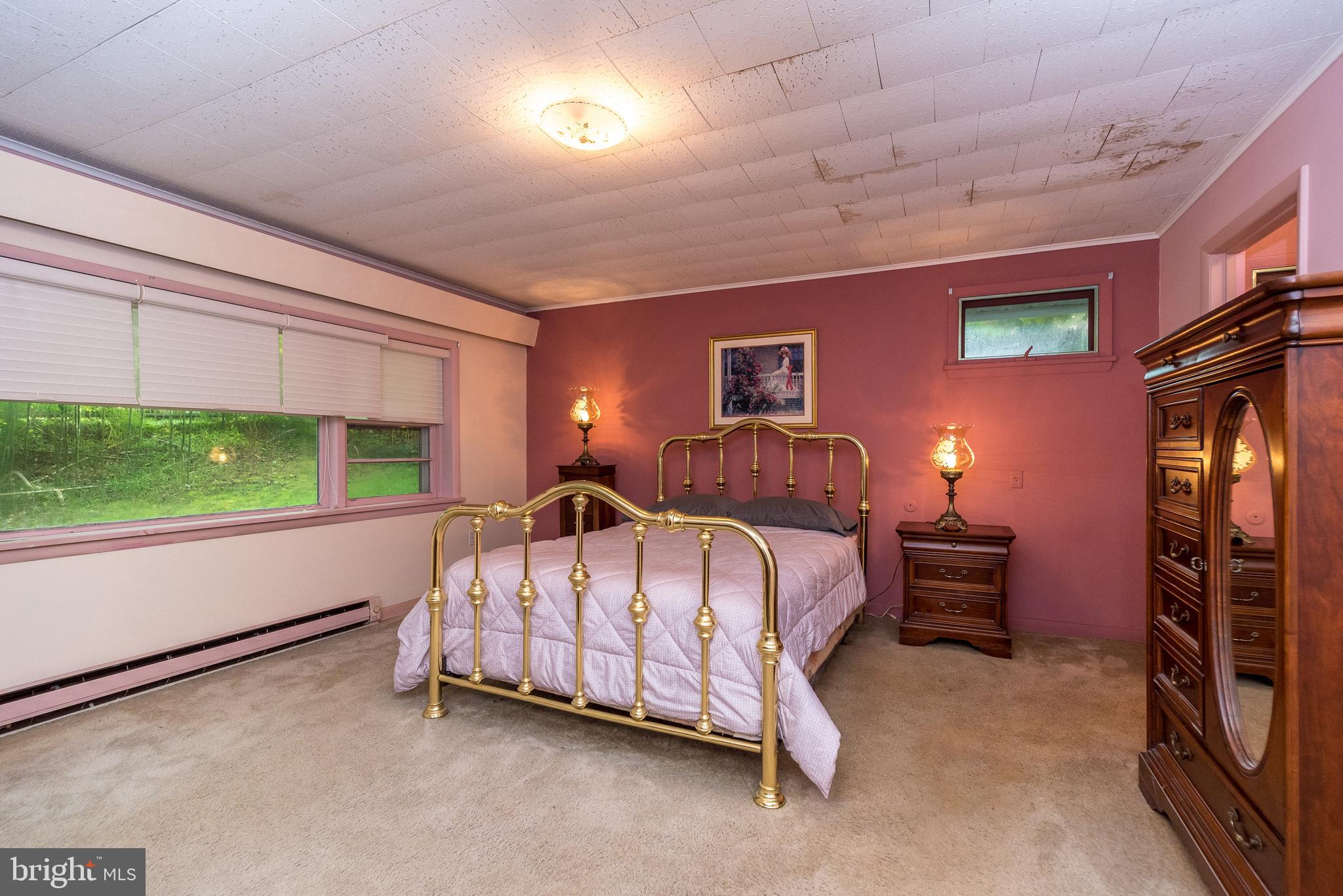 6634 Phillips Mill Road New Hope, PA 18938 - Photo 17 of 35 Large Primary bedroom