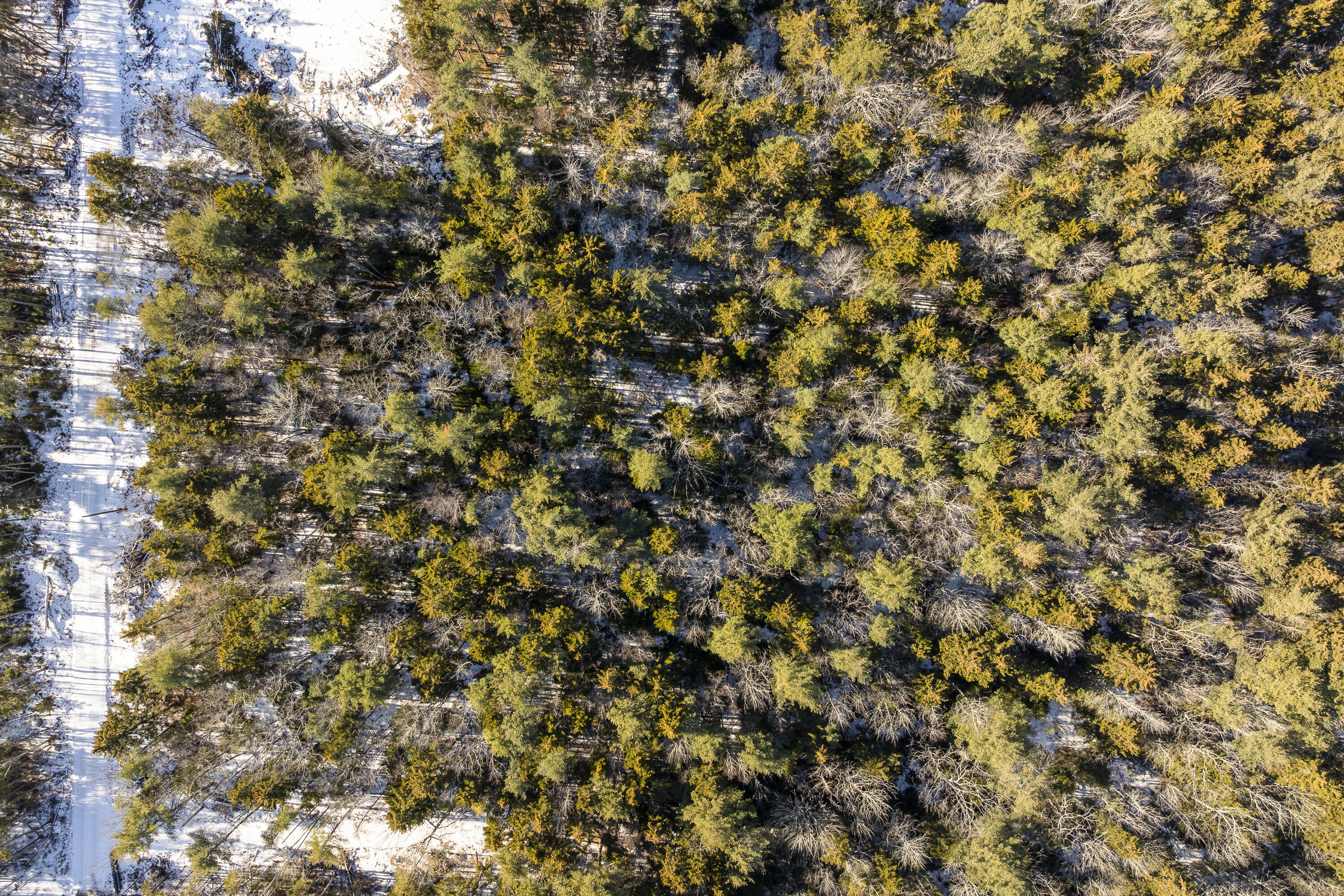 004 Map Pemaquid, ME 04558 - Photo 15 of 16 23-Lot 89-03, Pemaquid, ME-TP