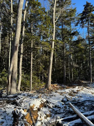 $90,000 | 004 Map, Pemaquid, ME 04558