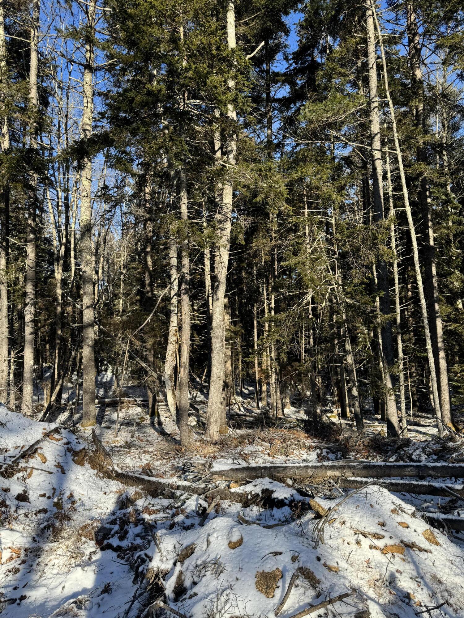 004 Map Pemaquid, ME 04558 - Photo 25 of 28 IMG_2455