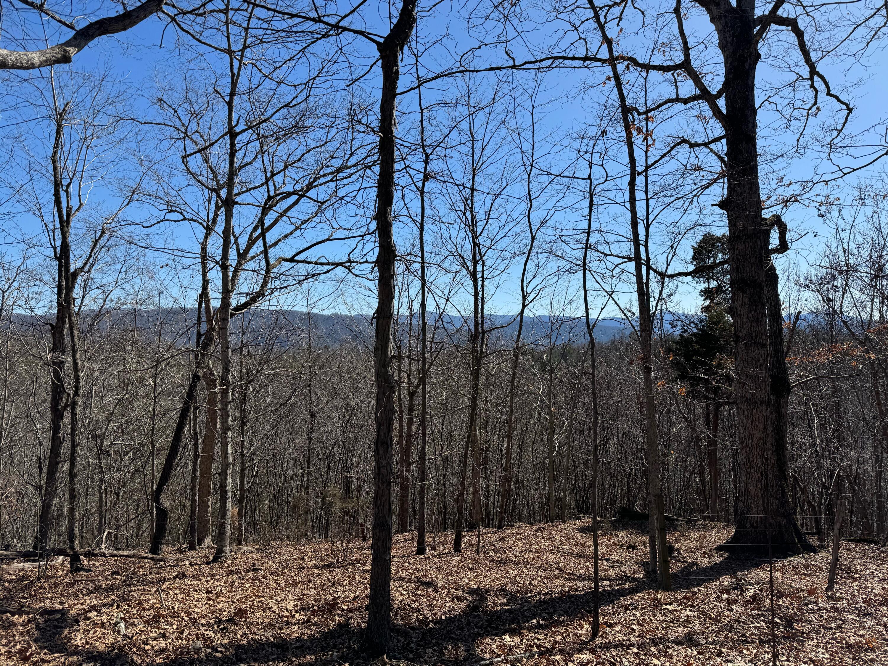 0 Indian Rock Road Buchanan, VA 24066 - Photo 1 of 13 IMG_8902