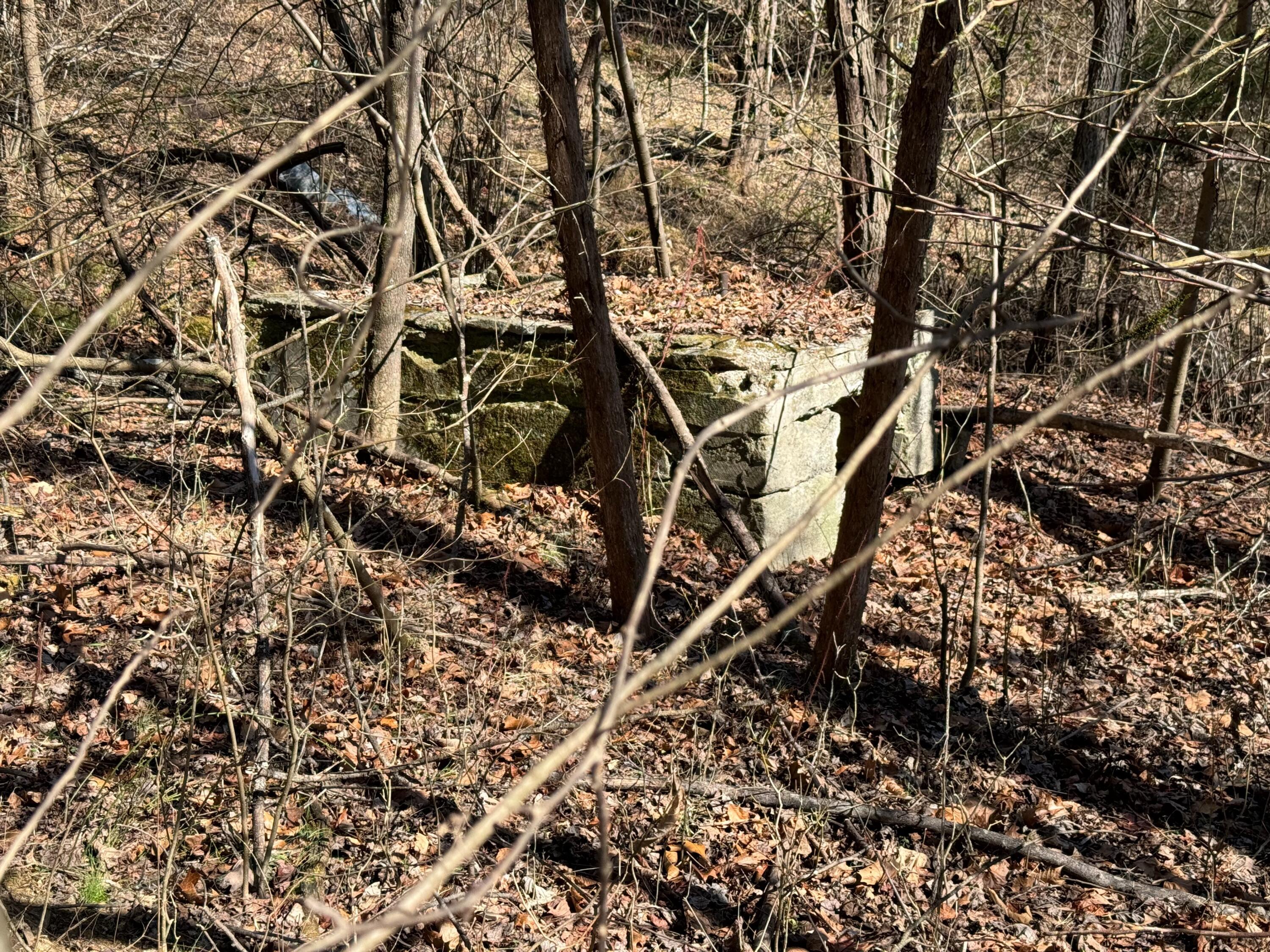 0 Indian Rock Road Buchanan, VA 24066 - Photo 11 of 13 IMG_8910