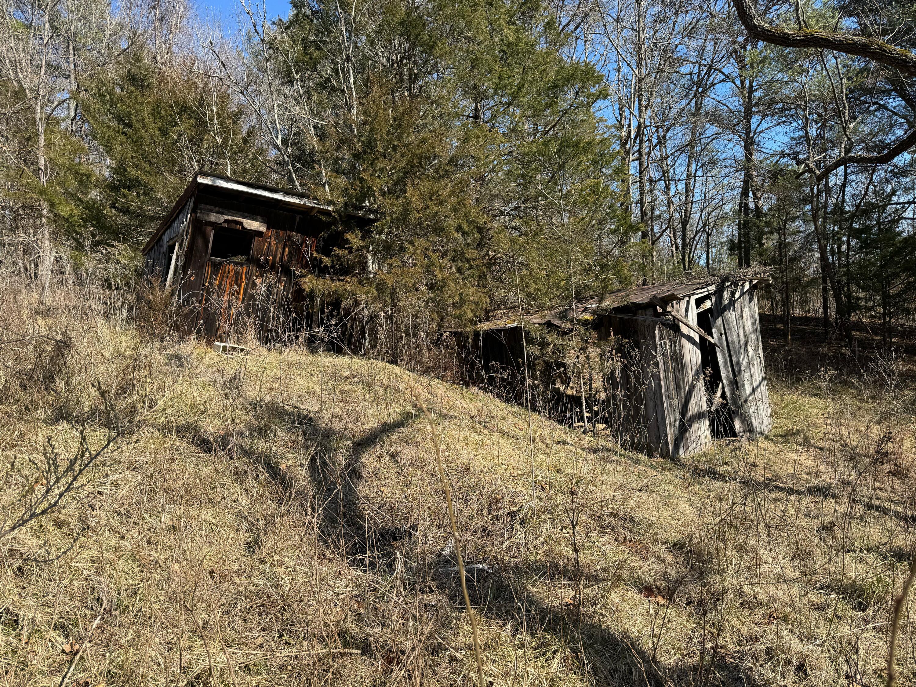 0 Indian Rock Road Buchanan, VA 24066 - Photo 13 of 13 outbuildings