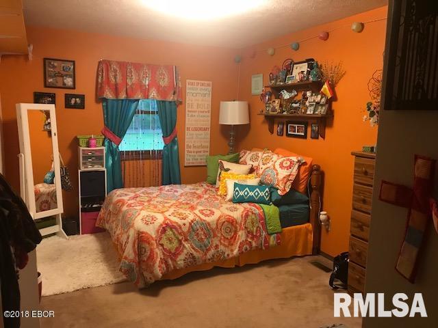 365 Main Road Murphysboro, IL 62966 - Photo 12 of 33