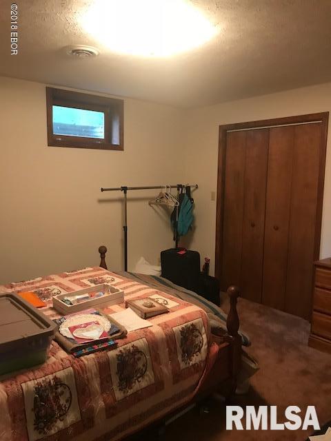 365 Main Road Murphysboro, IL 62966 - Photo 18 of 33