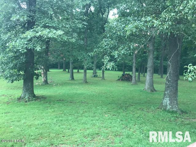365 Main Road Murphysboro, IL 62966 - Photo 4 of 33