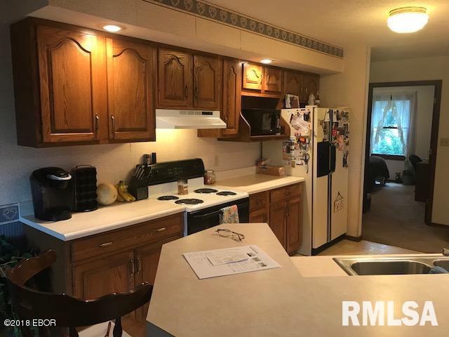 365 Main Road Murphysboro, IL 62966 - Photo 8 of 33