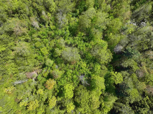 $270,000 | Concord Street, Antrim, NH 03440