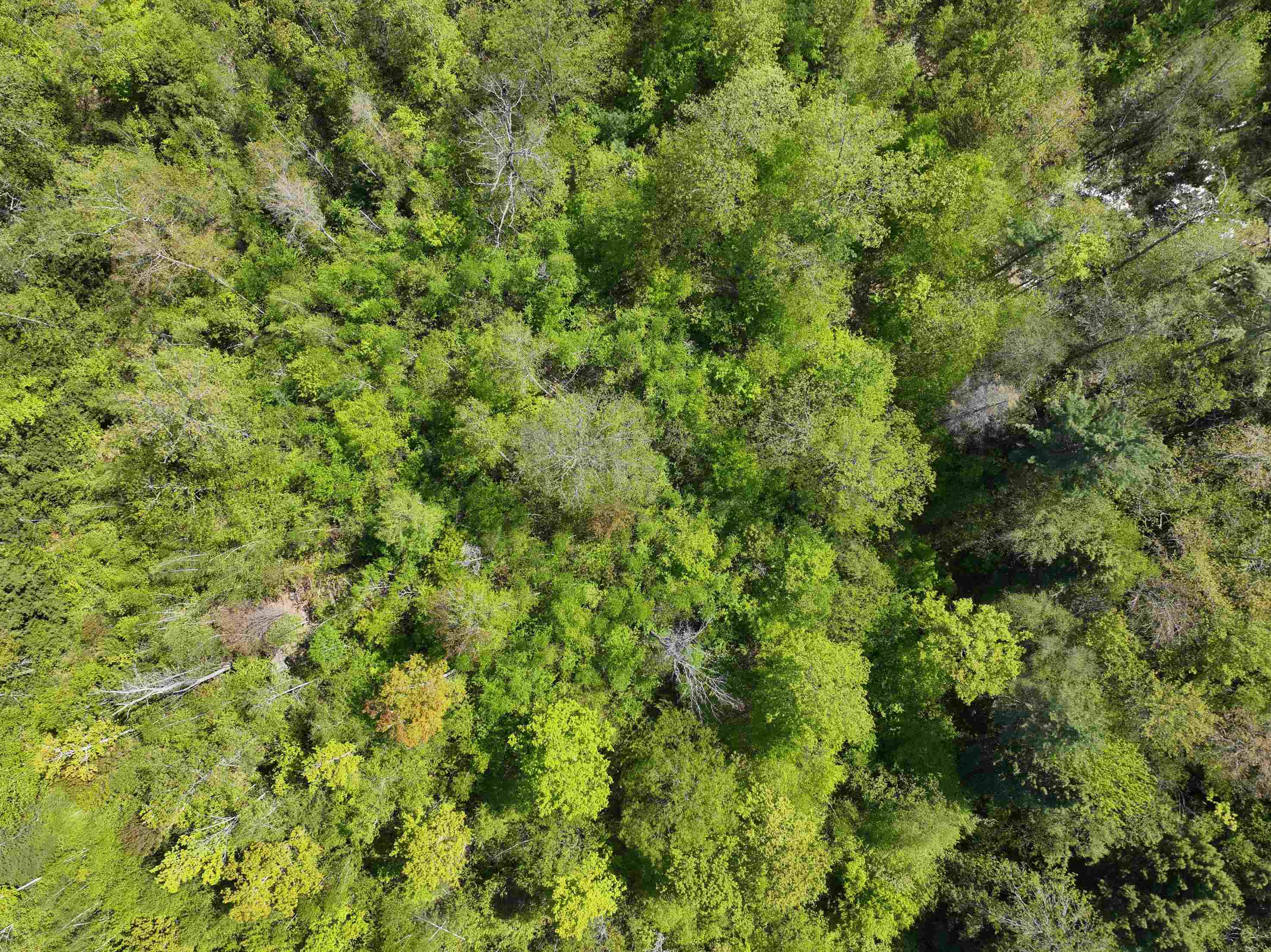 Concord Street Antrim, NH 03440 - Photo 5 of 14