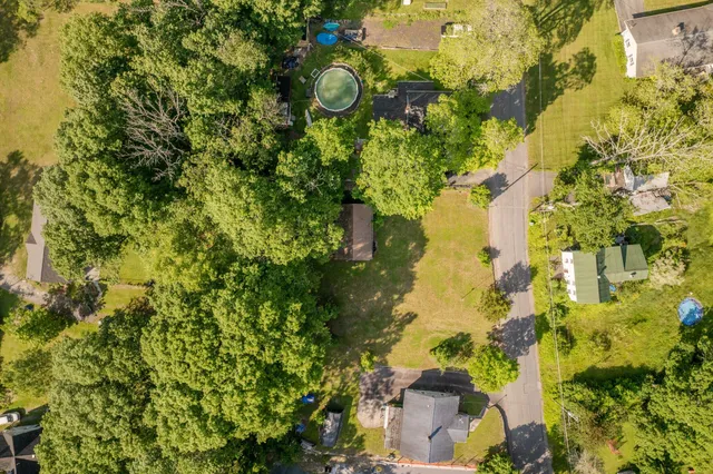 a picture of flowers