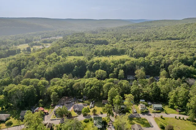 a view of a garden with an ocean