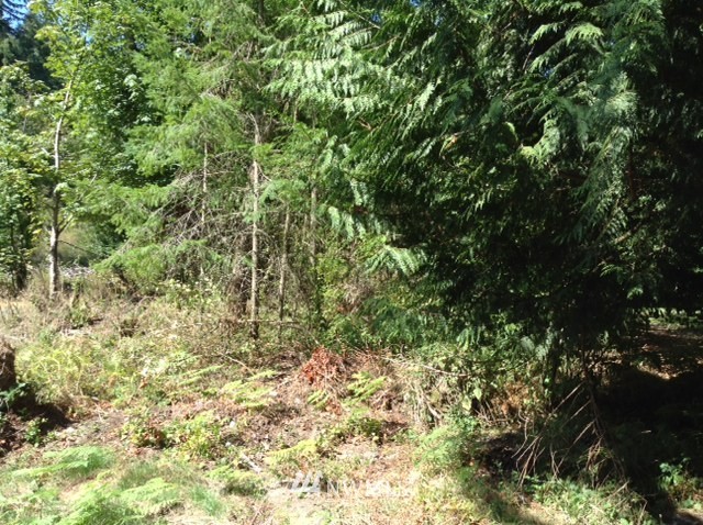 202-xx Ridge Road Southwest Vashon, WA 98070 - Photo 1 of 2