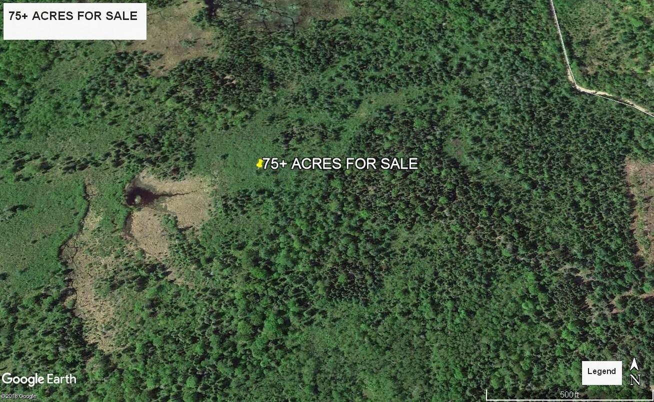 75-acres Kallio Road Rudyard, MI 49780 - Photo 9 of 12 Gallery Image 9