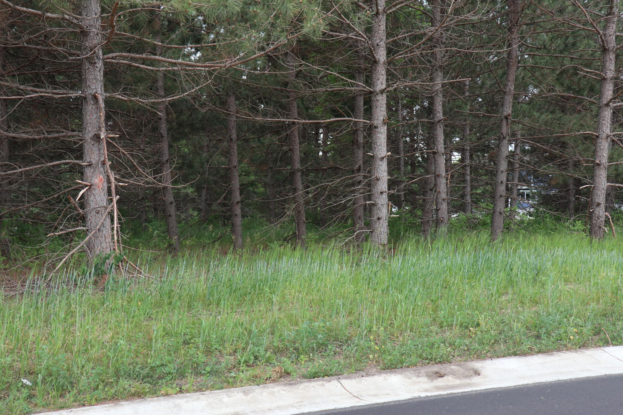 1925 Long Pine Drive Detroit Lakes, MN 56501 - Photo 9 of 11