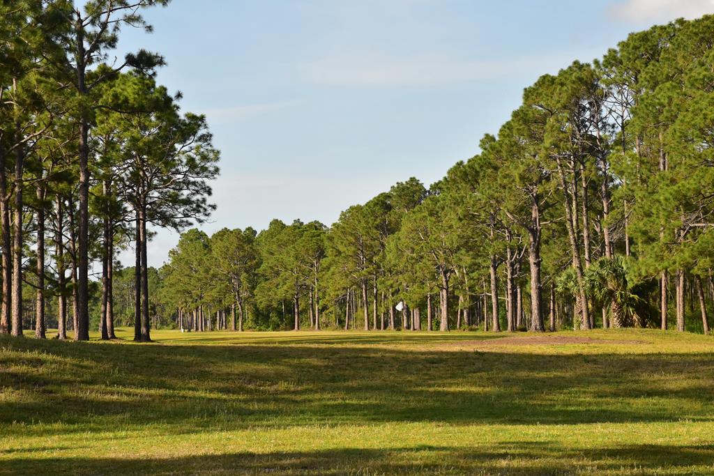 1412 Country Club Road Port St. Joe, FL 32456 - Photo 25 of 31 Gallery Image 25