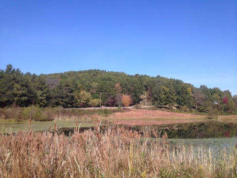 Lot 4 Northwest Frontage Road Cleveland, TN 37312 - Photo 2 of 13 2