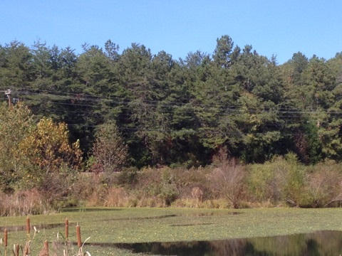 Lot 4 Northwest Frontage Road Cleveland, TN 37312 - Photo 11 of 13 6