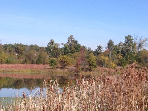 Lot 4 Northwest Frontage Road Cleveland, TN 37312 - Photo 3 of 13 3