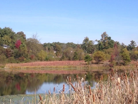 Lot 4 Northwest Frontage Road Cleveland, TN 37312 - Photo 5 of 13 8