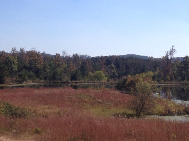 Lot 4 Northwest Frontage Road Cleveland, TN 37312 - Photo 6 of 13 11