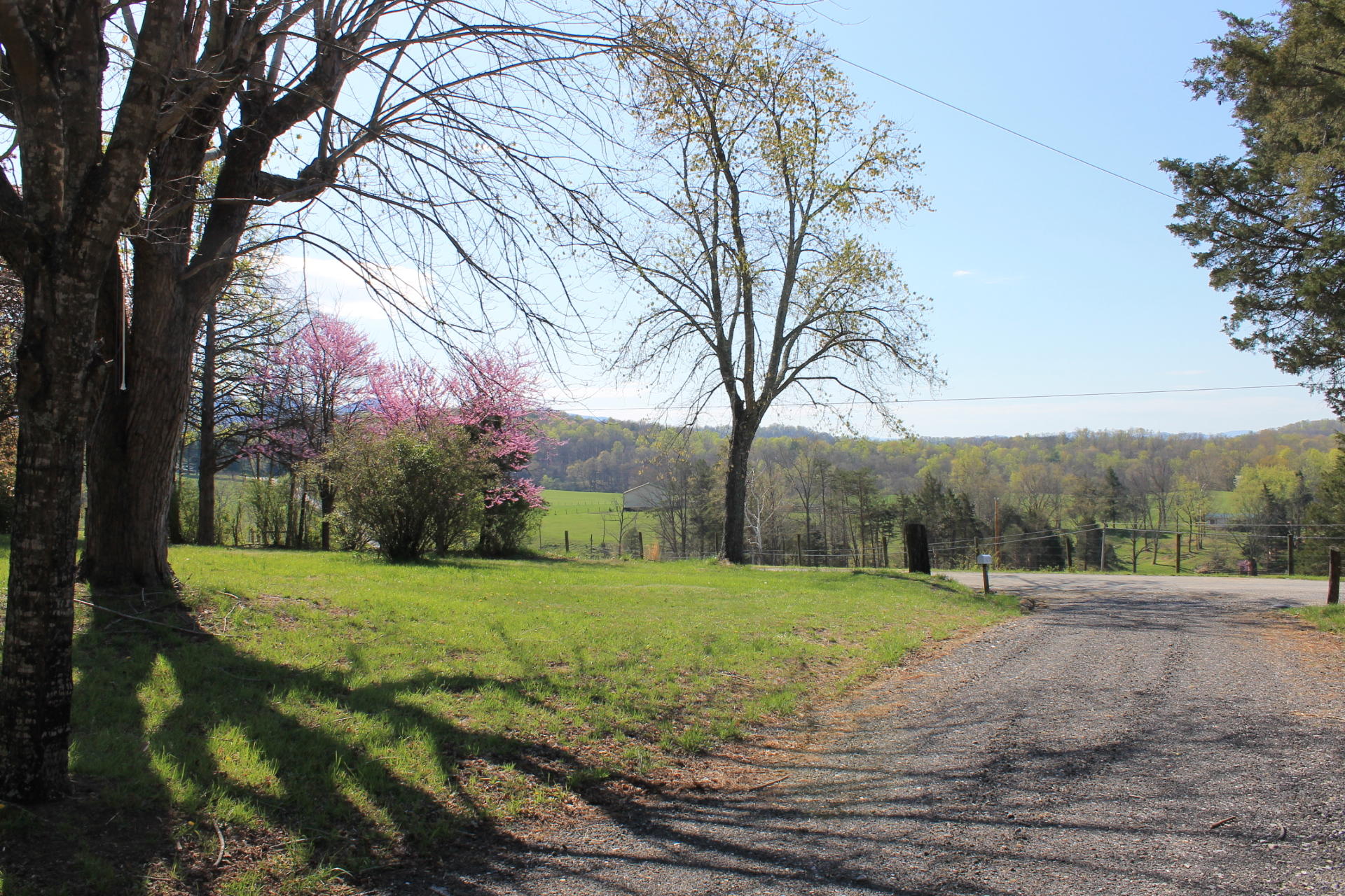 67 Allen Branch Road Eagle Rock, VA 24085 - Photo 2 of 11 view from driveway