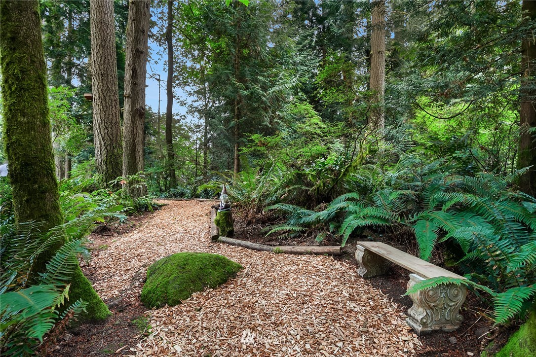 22303 49th Avenue Southeast Bothell, WA 98021 - Photo 24 of 25 a view of a park with large trees