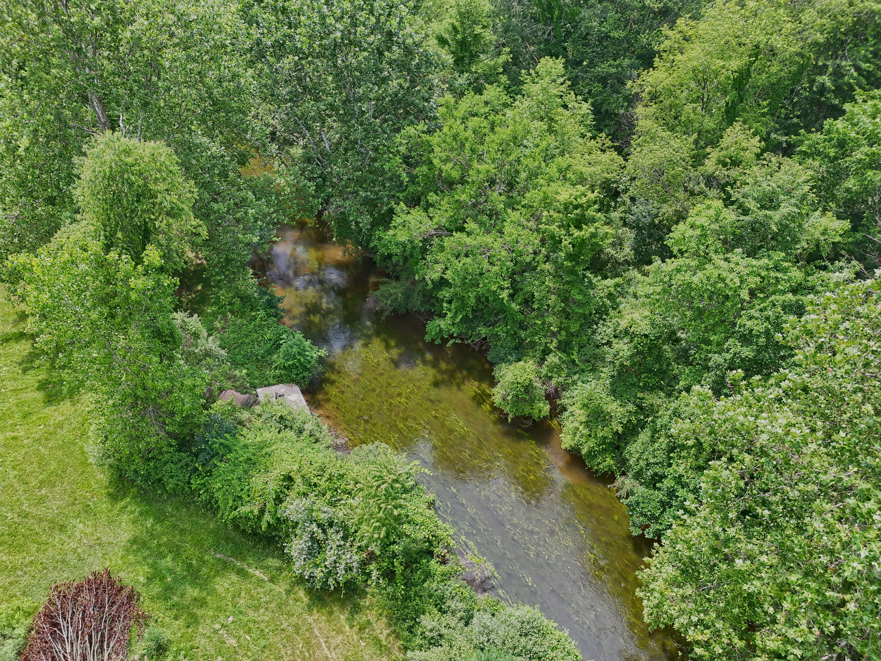 55946 California Road Dowagiac, MI 49047 - Photo 66 of 68 Beautiful Access to Dowagiac Creek